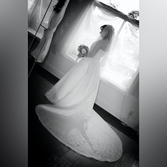 Michelangelo Strapless Wedding Ball Gown with Pastel Embroidery S8417 - sz 14 - Picture 12 of 12